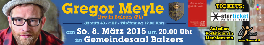 Banner Gregor Meyle 2015